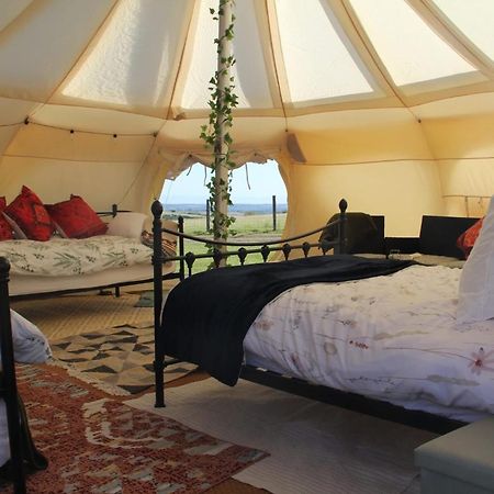 Tal-Y-Fan Farm 6M Stargazer Tent Bridgend  Exteriör bild