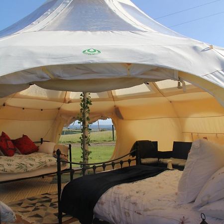 Tal-Y-Fan Farm 6M Stargazer Tent Bridgend  Exteriör bild